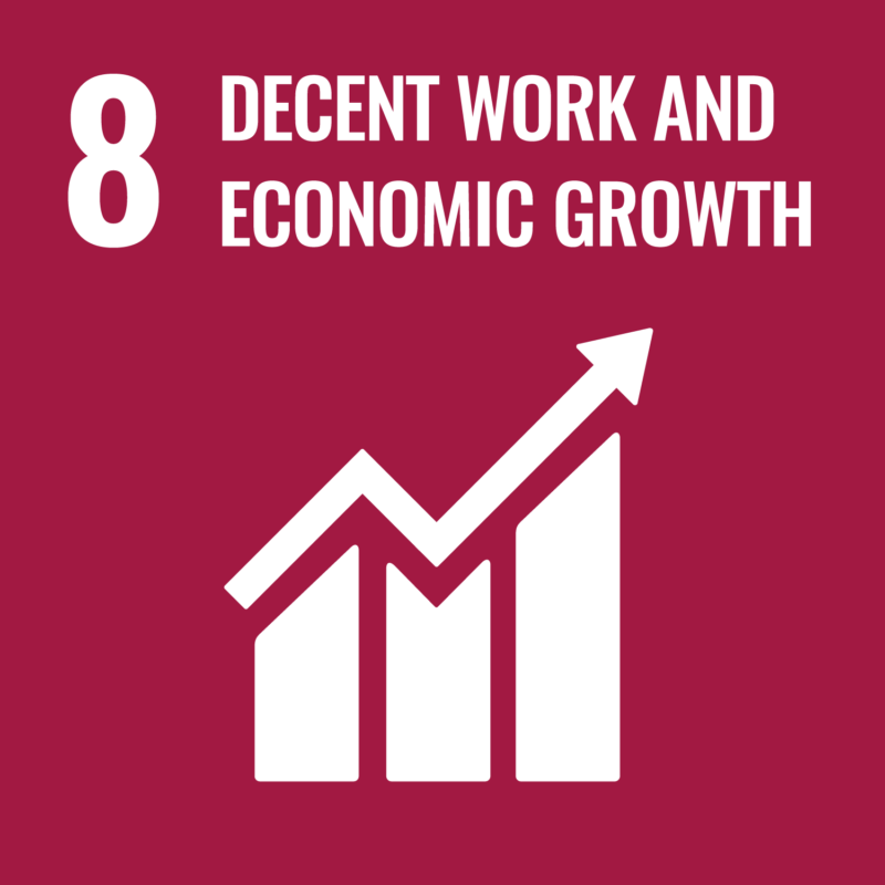 8 – Decent Work and Economic Growth
